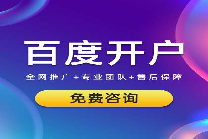 SEM运营公司案例解析：精准广告投放技巧